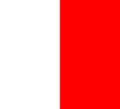 Code H - Printed 1 yard Flag