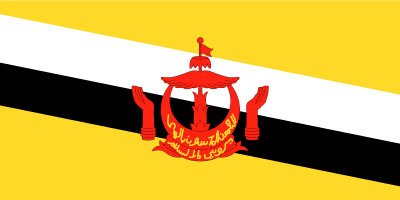 Brunei - Printed 0.75 yard Flag