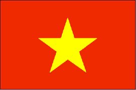 Vietnam - Printed 1 yard Flag