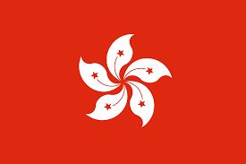 Hong Kong - Sewn 1 yard Flag