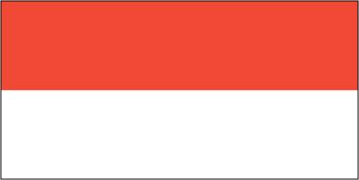 Indonesia - Sewn 0.75 yard Flag