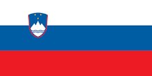 Slovenia - Printed 0.75 yard Flag