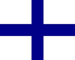 Code X - Printed 1 yard Flag