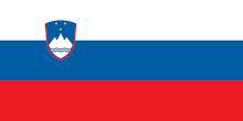 Slovenia - Printed 0.5 yard Flag