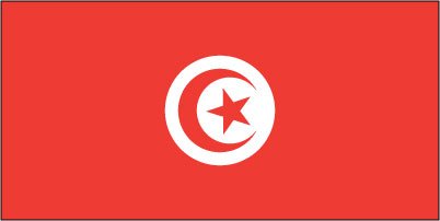 Tunisia - Sewn 0.75 yard Flag