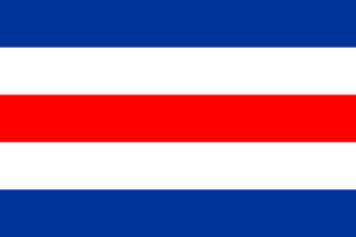 Code C - Printed 1 yard Flag