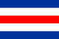 Code C - Printed 1 yard Flag