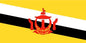 Brunei - Printed 0.75 yard Flag