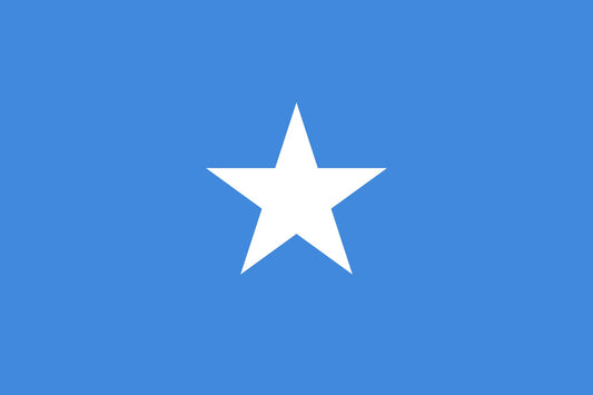 Somalia - Printed 1 yard Flag