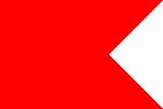 Code B - Printed 30 x 24cm Flag