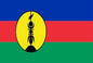 New Caledonia - Printed 1 yard Flag