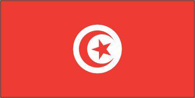 Tunisia - Printed 0.5 yard Flag