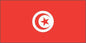 Tunisia - Printed 0.5 yard Flag