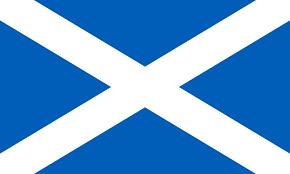 Scotland - Printed 1 yard Flag