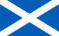 Scotland - Printed 1 yard Flag
