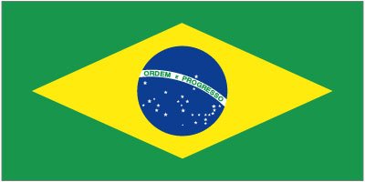 Brazil - Printed 2 yard Flag