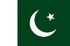 Pakistan - Printed 0.75 yard Flag