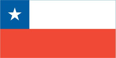 Chile - Printed 2 yard Flag