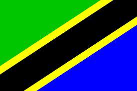 Tanzania - Sewn 2.5 yard Flag