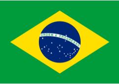Brazil Flag - Sewn 1 yard flag