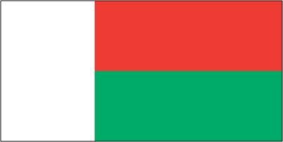 Madagascar - Printed 1 yard Flag