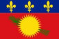 Guadeloupe - Printed 1 yard Flag
