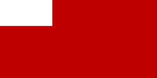 Abu Dhabi - Printed 1 yard Flag