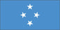 Micronesia - Sewn 1 yard Flag
