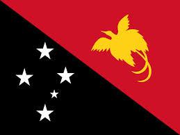 Papua New Guinea - Printed 0.75 yard Flag