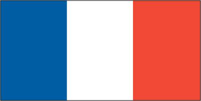 France - Printed 0.5 yard Flag