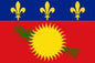 Guadeloupe - Printed 0.5 yard Flag