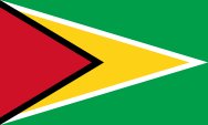 Guyana - Printed 2 yard Flag