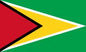 Guyana - Printed 2 yard Flag