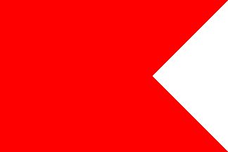 Code B - Printed 2 yard Flag