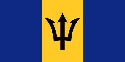Barbados - Printed 0.5 yard Flag