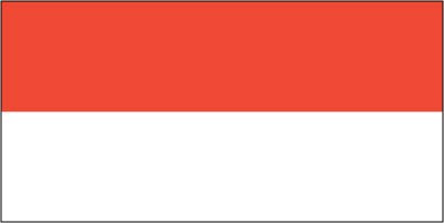 Indonesia - Printed 0.75 yard Flag