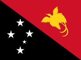 Papua New Guinea - Printed 1 yard Flag
