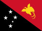Papua New Guinea - Printed 1 yard Flag