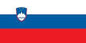Slovenia - Printed 0.5 yard Flag