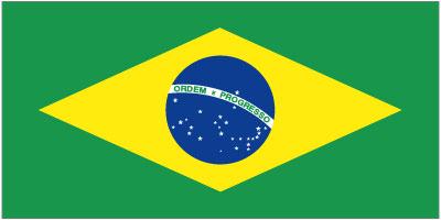 Brazil - Printed 0.75 yard Flag