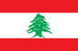 Lebanon - Printed 0.5 yard Flag