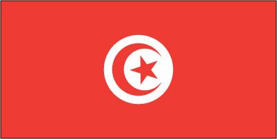 Tunisia - Sewn 1 yard Flag