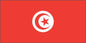 Tunisia - Sewn 1 yard Flag