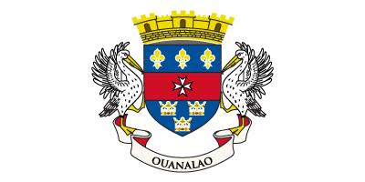 Saint Barthelemy - Sewn 1.25 yard Flag