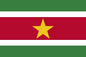 Suriname - Printed 2 yard Flag