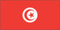 Tunisia - Printed 0.75 yard Flag