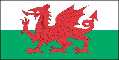 Wales - Printed 1 yard Flag
